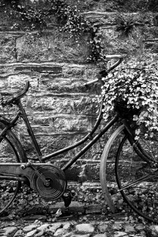 Fiets, Damesfiets als decoratie