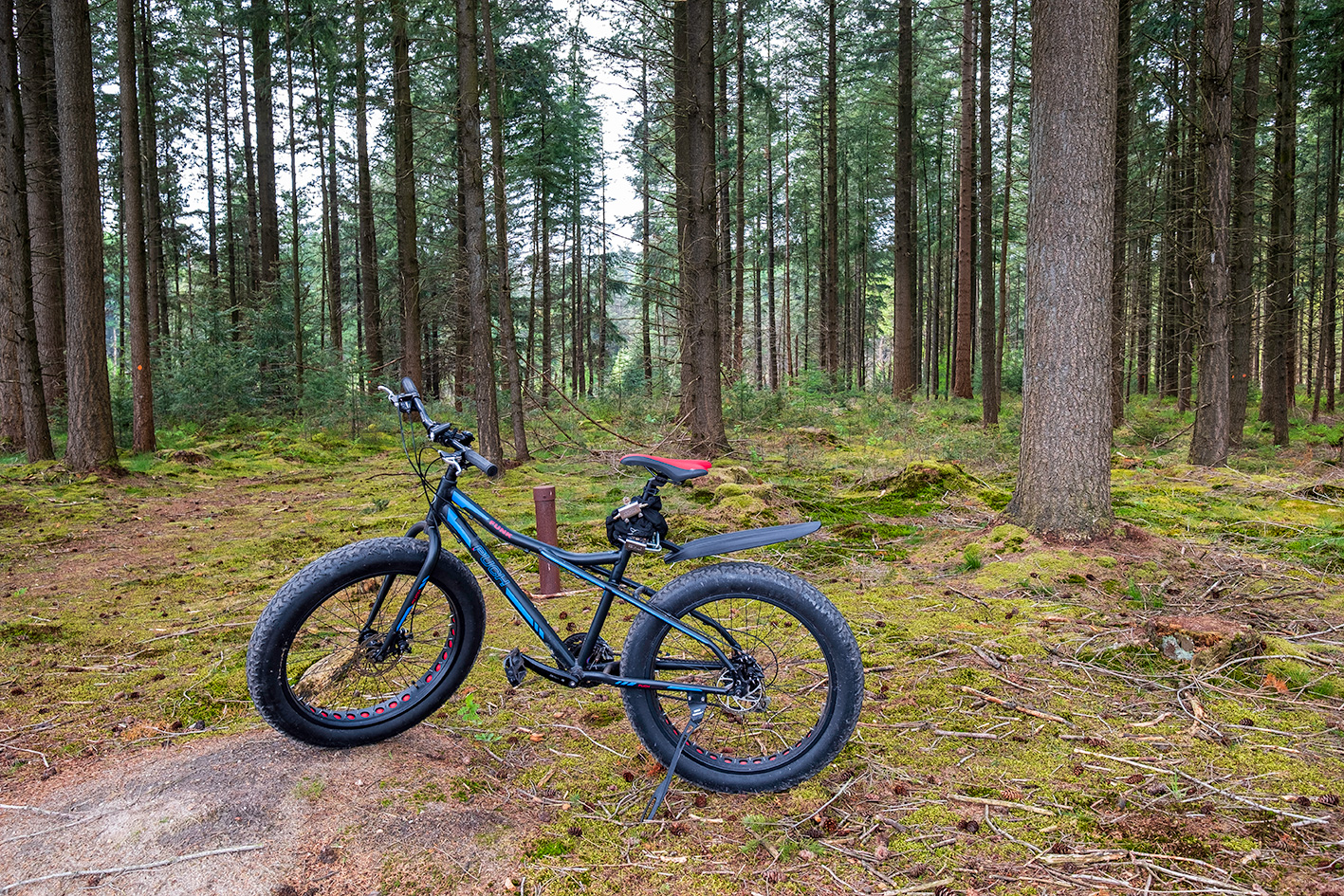 Fiets, fatbike