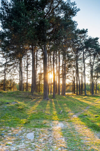 Landschap in de provincie Drenthe
